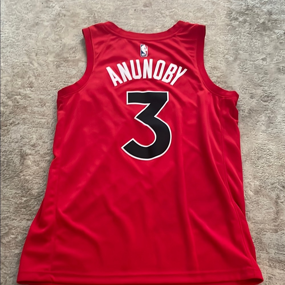 raptors anunoby Number 3